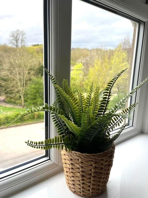 Olive Holiday Cottage Matlock Матлок Екстер'єр фото